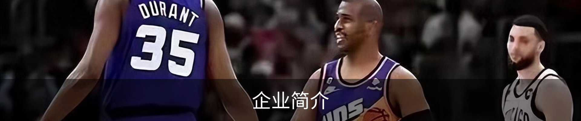 企业简介